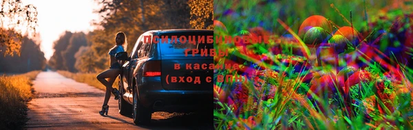 стафф Заволжск