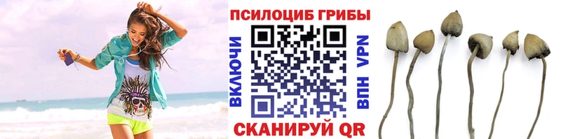 Купить где  Ижевск  Галлюциногенные грибы мицелий 